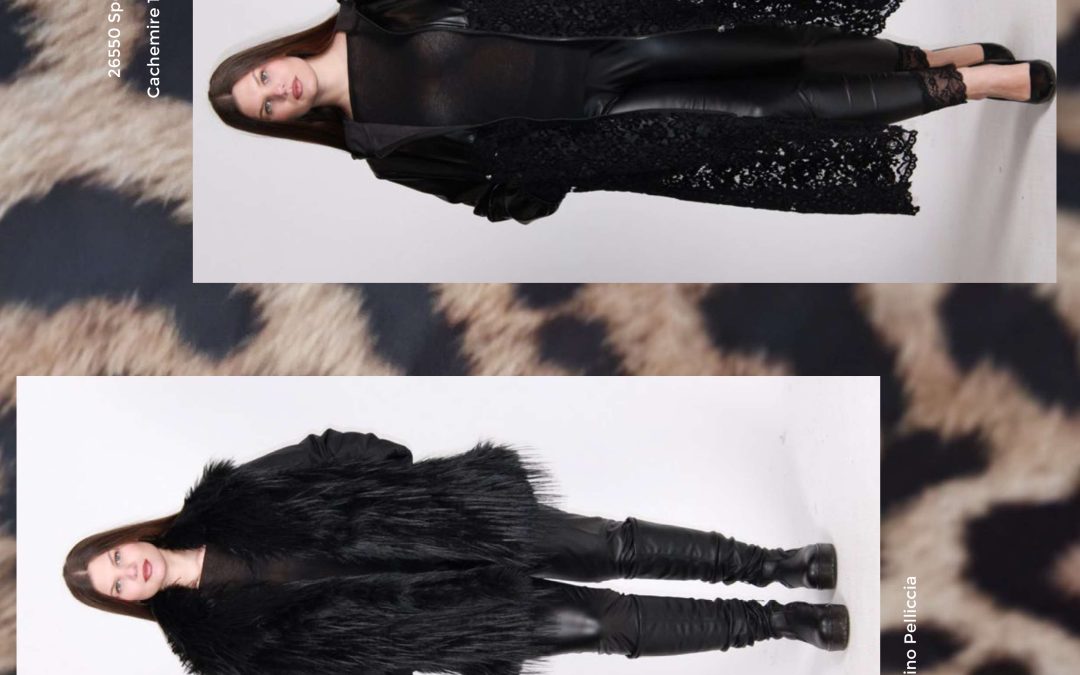 Sophia Curvy FW 26